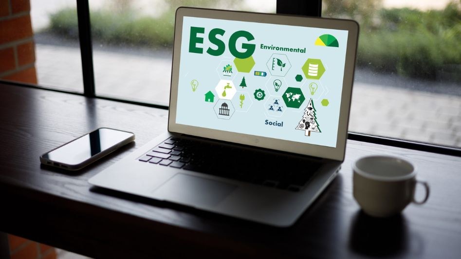What is an ESG score?