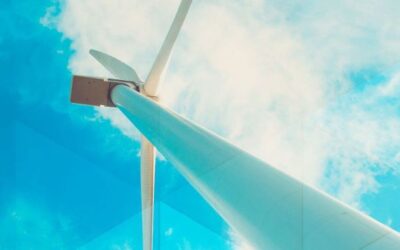 What Is Wind Energy? Definition, Types and More