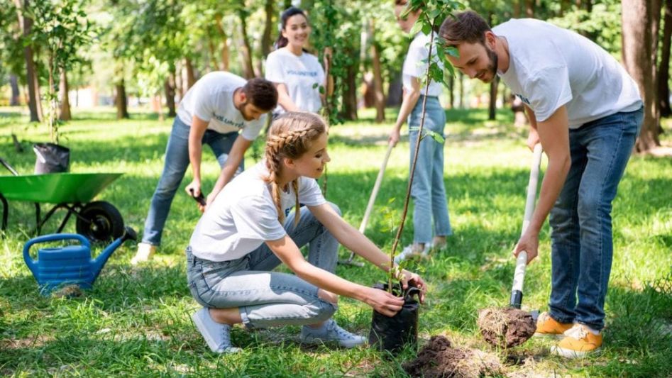 plant more trees