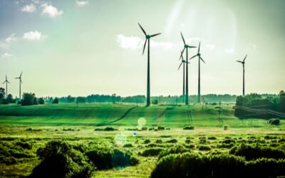 Renewable Energy Investments: What Is Driving Green Capitals?
