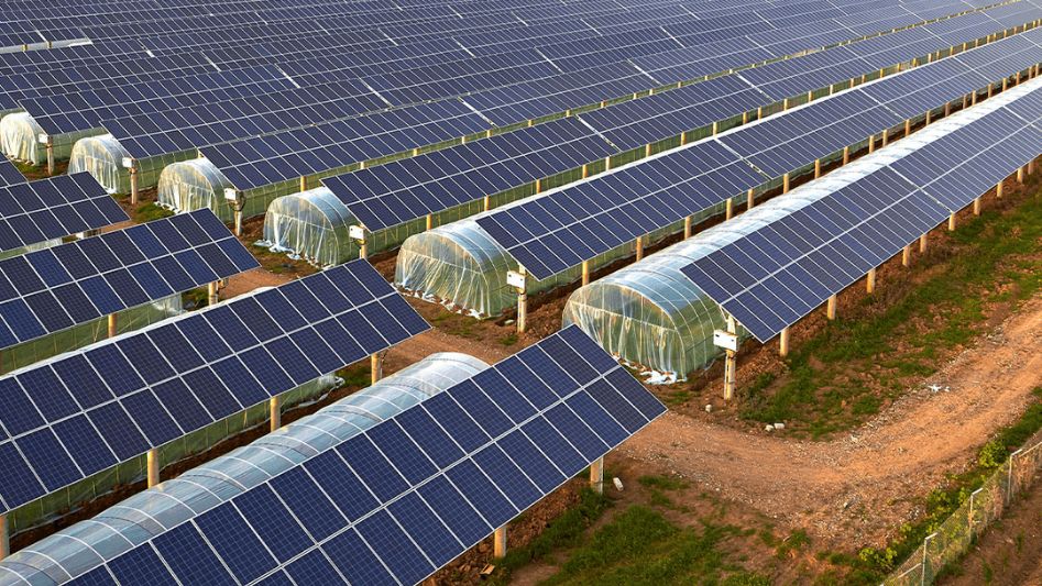 solar energy meets agriculture