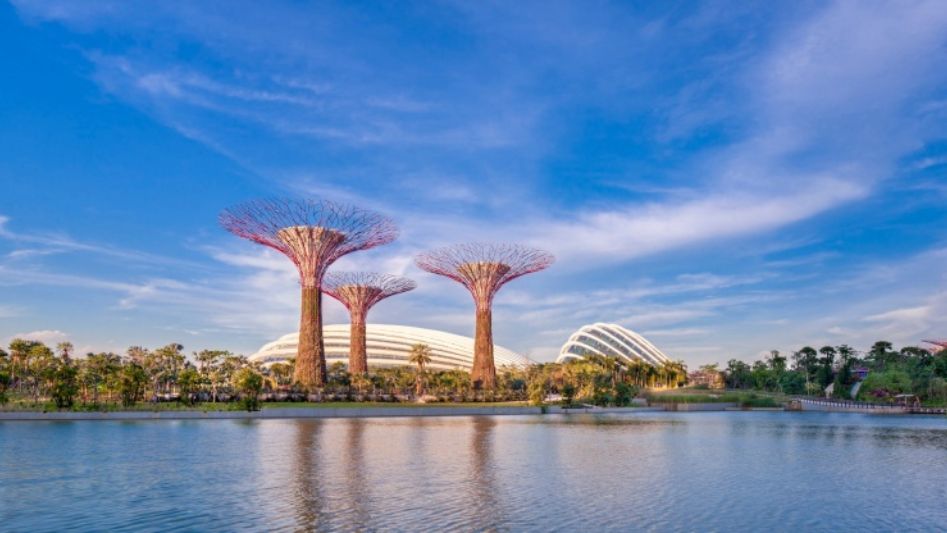 Solar Botanic Trees