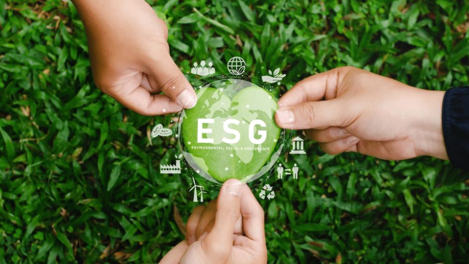 ESG Criteria in Investment Decisions