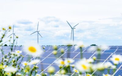 Renewable Energy: The Key to a Low-Carbon Future