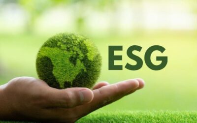 Corporate Sustainability: The Role of ESG in Business Strategy