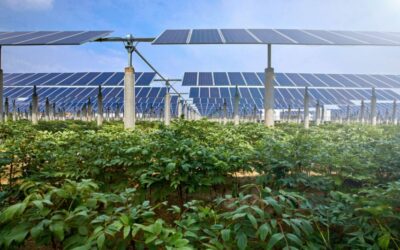 Sustainable Agriculture: Harnessing Green Energy for Food Production