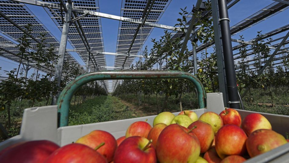 Harnessing Green Energy for Food Production