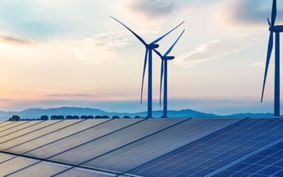 The Role of Governments in Promoting Green Energy