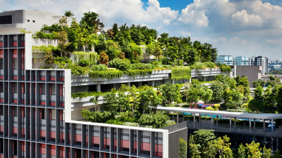 Sustainable Building Design for a Green Future