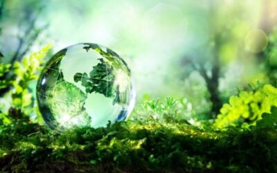 The Circular Economy and the Role of Green Energy