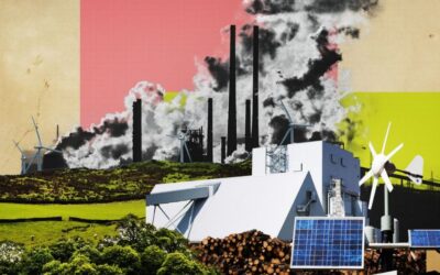 Carbon Offsetting and Green Energy: A Match Made in Heaven