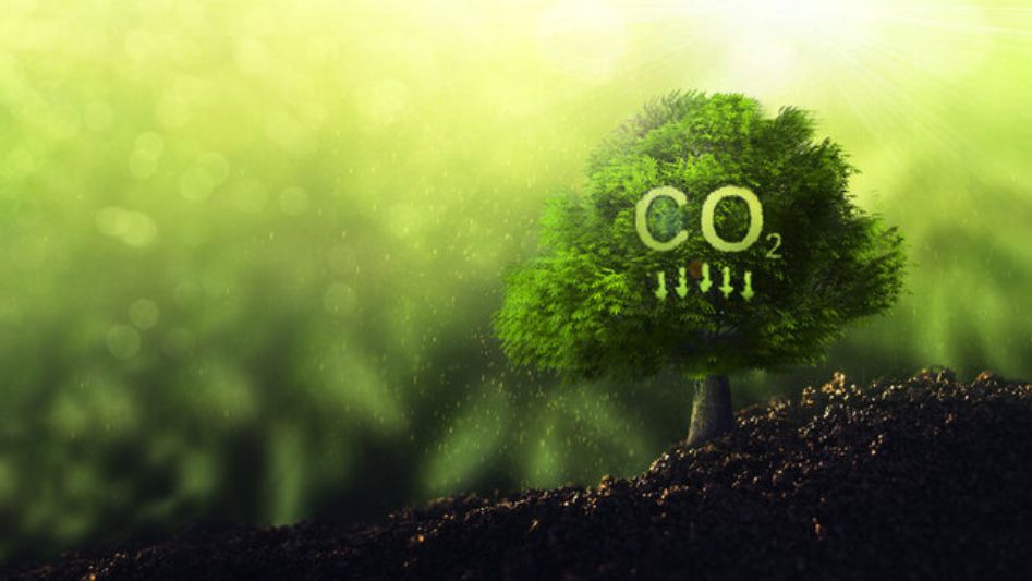 Carbon Offsetting and Green Energy