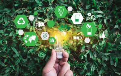 Unveiling the Green Energy Paradox: ESG Investing’s Limited Impact on the Transition