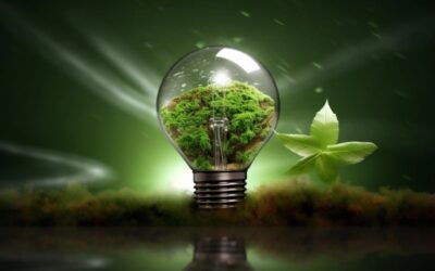 Green Energy Trends to Watch: Leading the Charge to Sustainability
