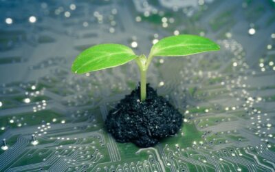 The Green Revolution: How Tech is Driving Sustainability