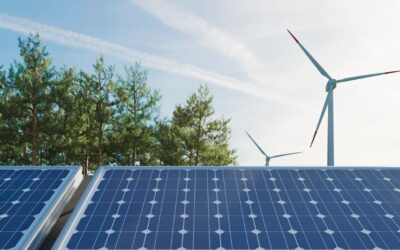 The Role of Green Energy in Combatting Climate Change